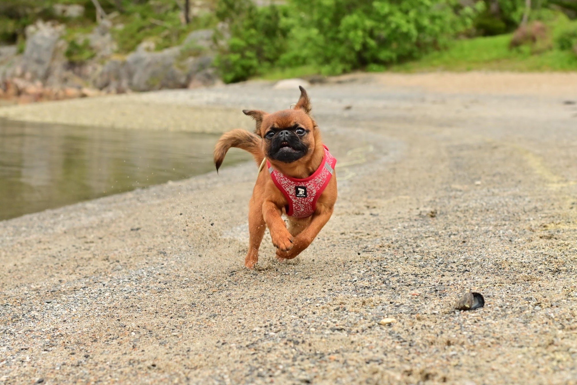 The one where Phoebe runs on the beach